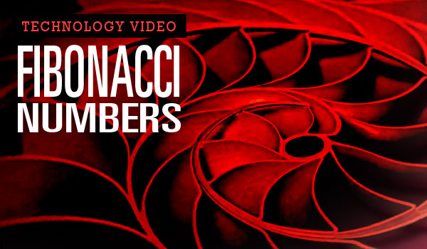 midler Overleve drivhus Technology Video: Fibonacci Numbers – CaryCitizen Archive