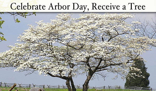 arbor-day-cary