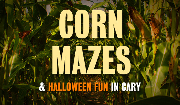 corn-mazes-cary