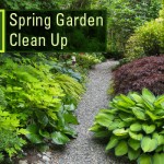 spring-garden-clean-up