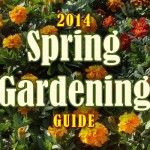 spring-gardening-2014