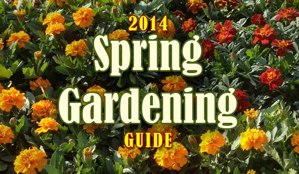 spring-gardening-2014