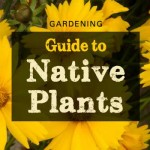 gardening-native-plants