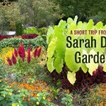 sarah-duke-gardens