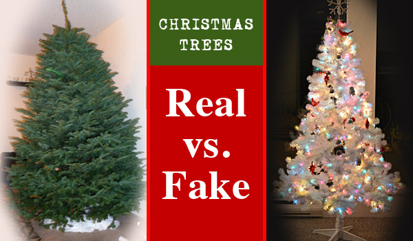 Fake or real tree this year?