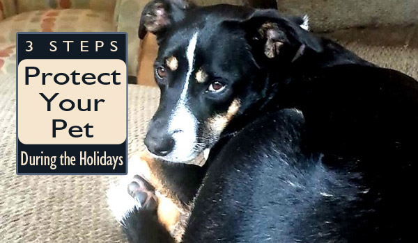 protect-your-pet-holidays