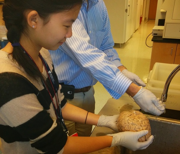 Last summer, Jenny was able to conduct research at Harvard Medical School.