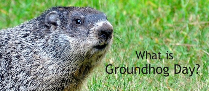 The History of Groundhog Day – CaryCitizen Archive