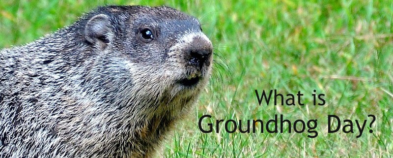 GroundHog Day