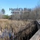 Harold's Blog