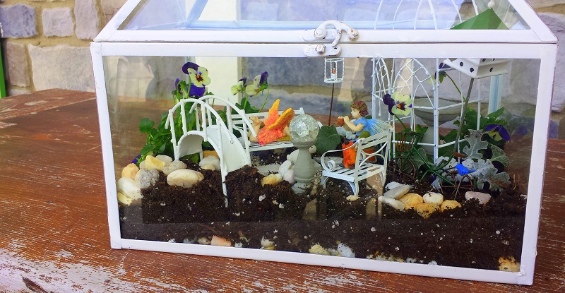 Fairy Gardens: How to Build a Tiny World – CaryCitizen Archive