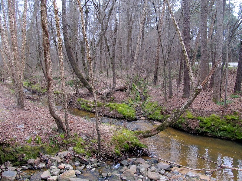 White Oak Trail