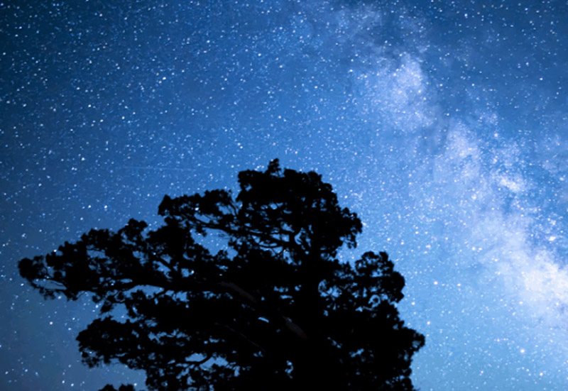 Guide to Stargazing In and Around Cary – CaryCitizen Archive
