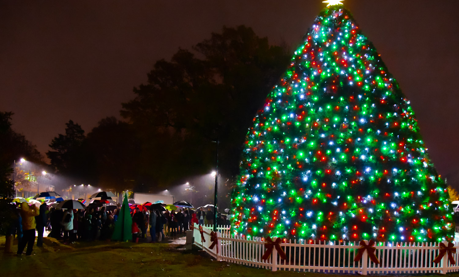 Weekend Events: Downtown Tree Lighting Cary Players and More