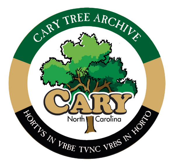 Cary Trees