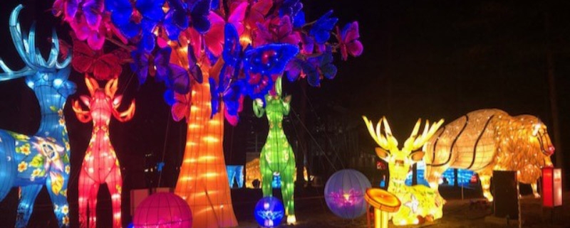 Chinese Lantern Festival